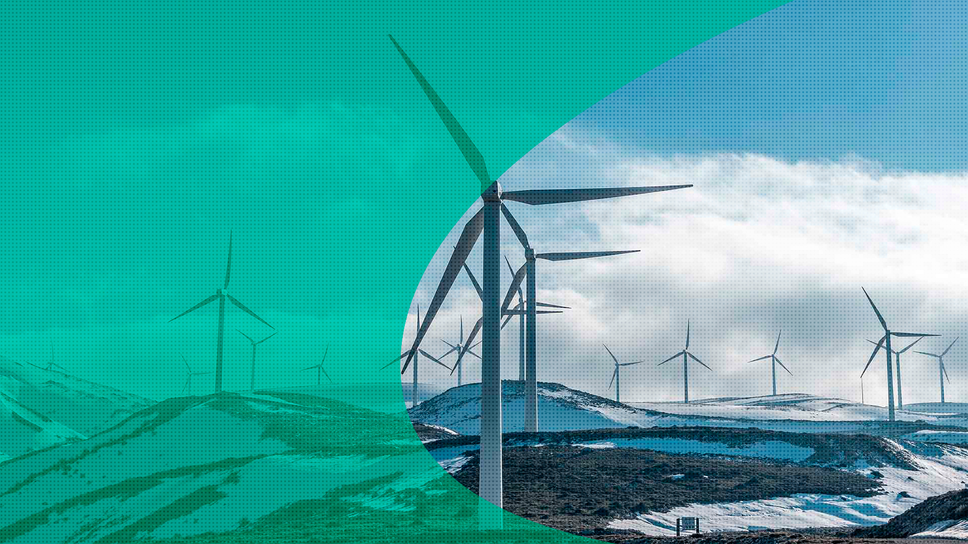 Protton - Especialistas